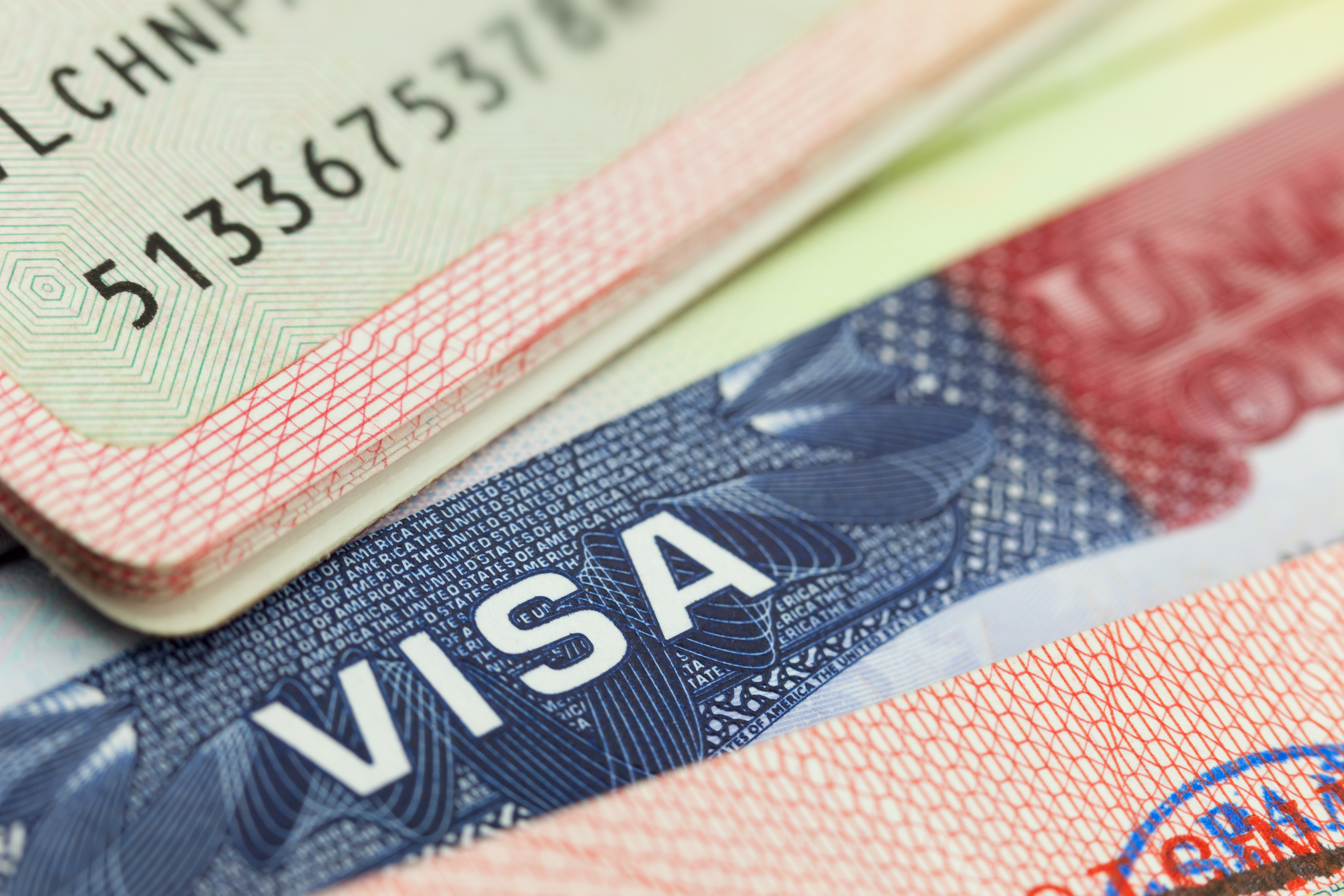 H1B Visa Trackitt - jmgjjqw